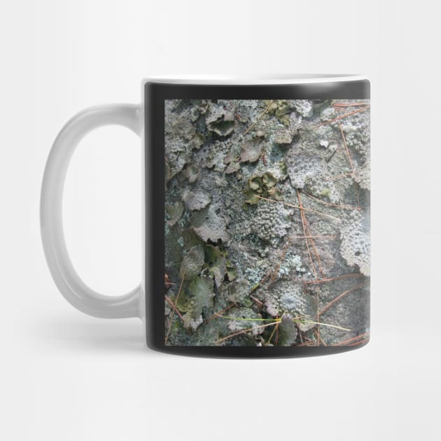 Woodland floor-Available As Art Prints-Mugs,Cases,Duvets,T Shirts,Stickers,etc by born30